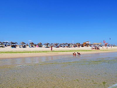 Terra Estreita Beach View