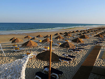 Terra Estreita Beach View